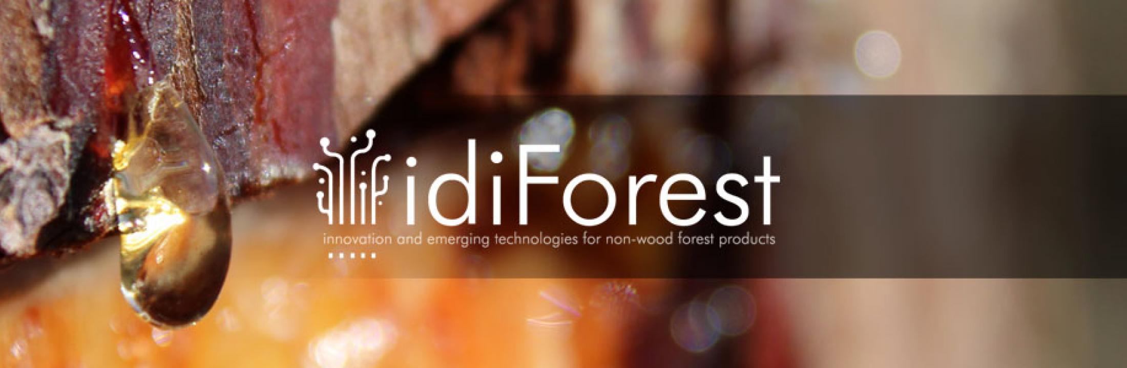 idiForest