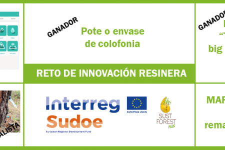 Reto de Innovación Resinera