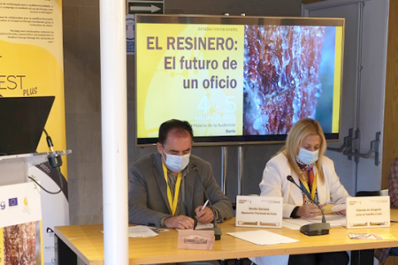 Jornadas Internacionales del proyecto SustForest Plus: El Resinero: El futuro de un oficio